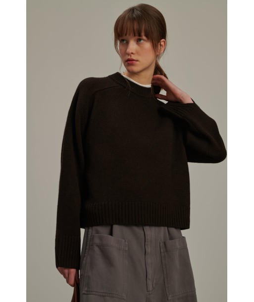 WILL BROWN JUMPER online