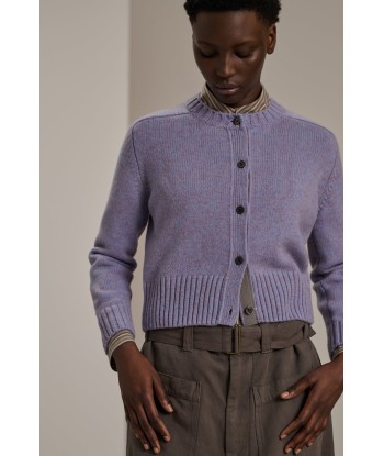 LYNE PURPLE CARDIGAN en ligne