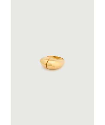 GOLD RING français