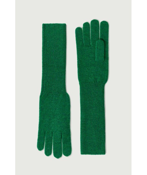 SOL GREEN GLOVES vente chaude votre 