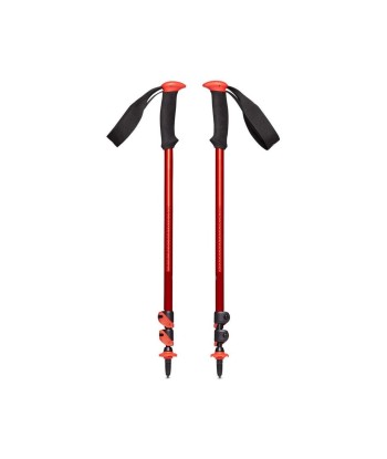 Trail Sport Trekking Poles soldes