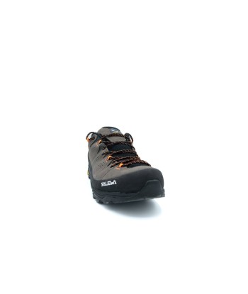 Alp Trainer 2 Gtx M Economisez 