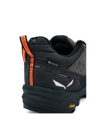 Alp Trainer 2 Gtx M Economisez 