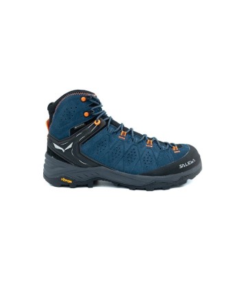 Ws Alp Trainer 2 Mid Gtx soldes