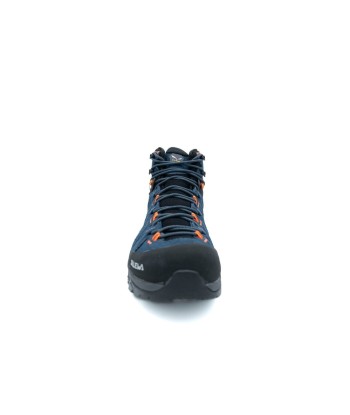 Ms Alp Trainer 2 Mid Gtx soldes