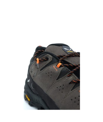 Alp Trainer 2 Gtx M Economisez 