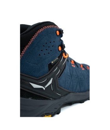 Ms Alp Trainer 2 Mid Gtx soldes