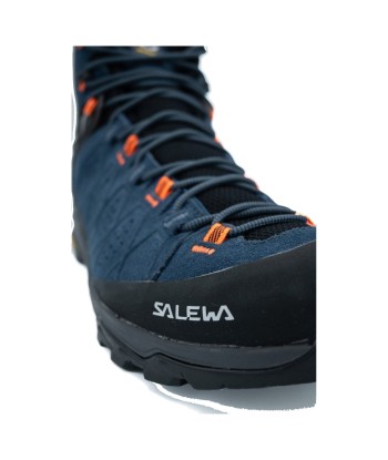 Ms Alp Trainer 2 Mid Gtx soldes