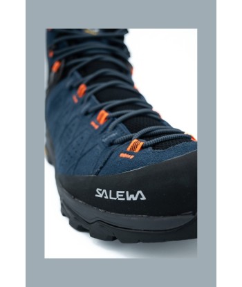 Ws Alp Trainer 2 Mid Gtx soldes